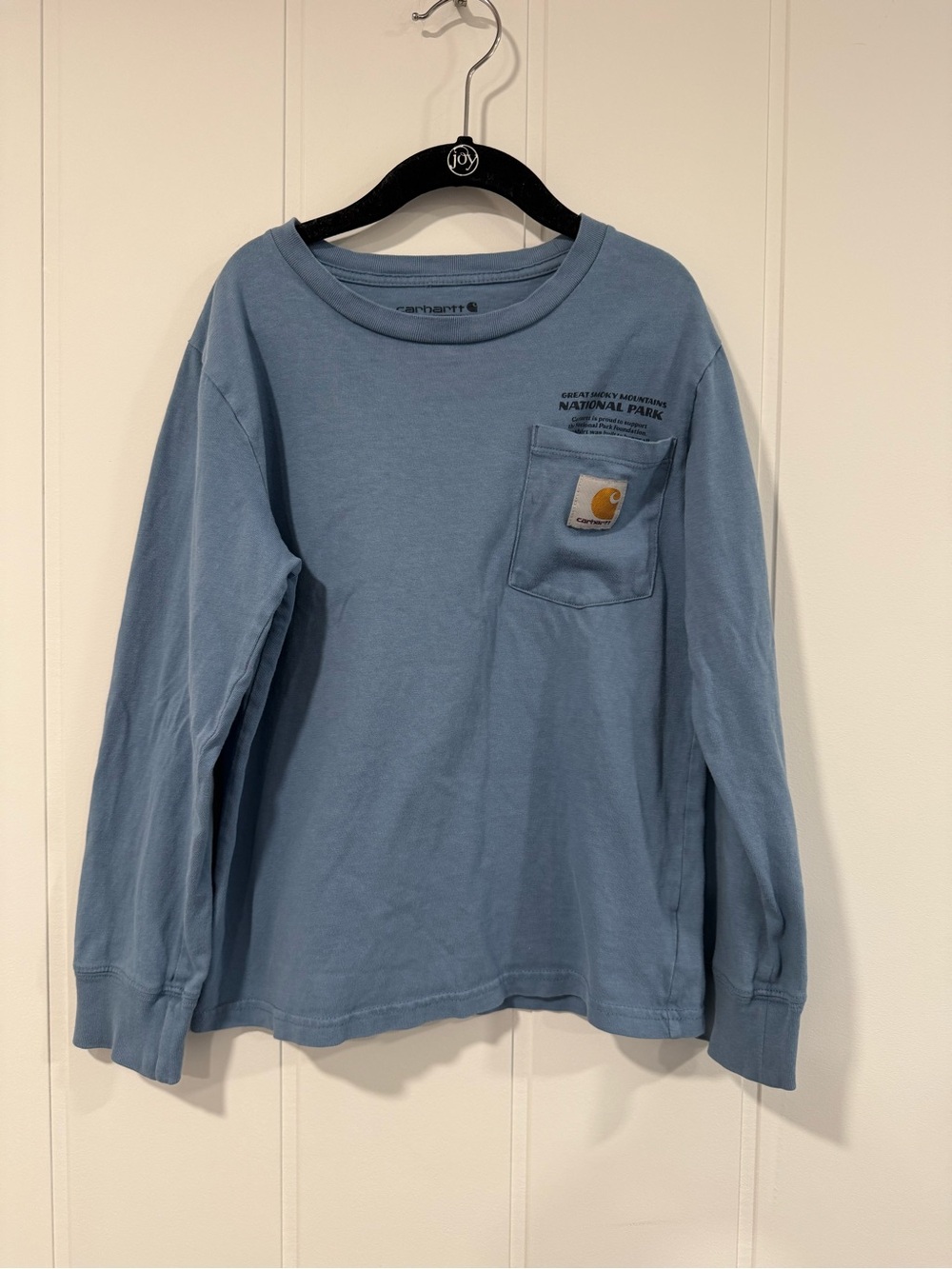 Carhartt Kids Long-Sleeve Pocket Tee in Dusty Blue